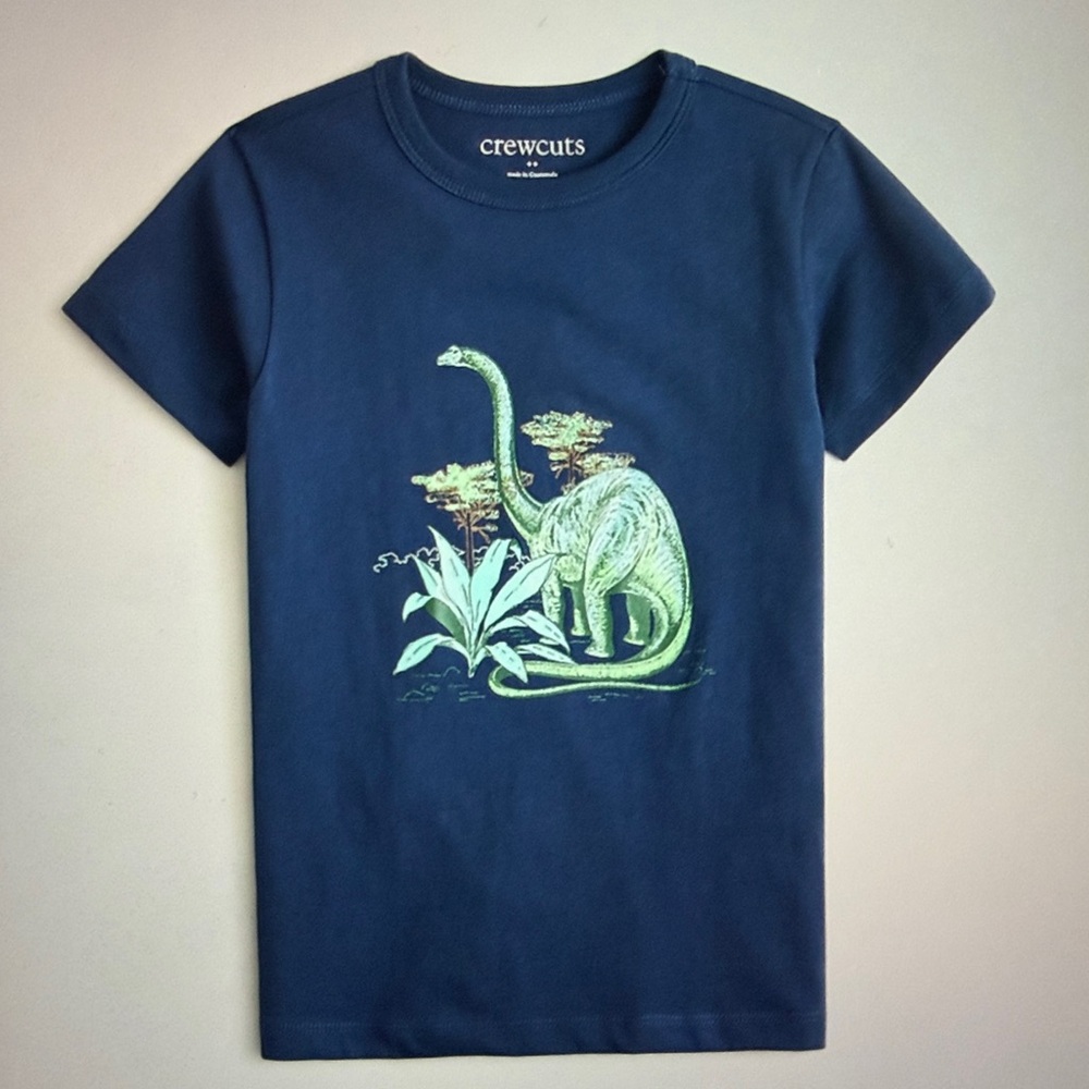 NWT J. Crew Dinosaur T Shirt, 8-9 (medium)